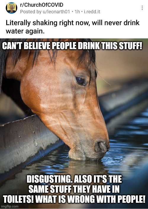 CAN'T BELIEVE PEOPLE DRINK THIS STUFF! DISGUSTING. ALSO IT'S THE SAME STUFF THEY HAVE IN TOILETS! WHAT IS WRONG WITH PEOPLE! | made w/ Imgflip meme maker