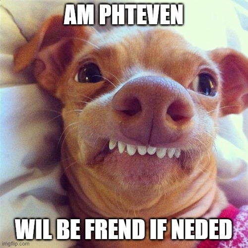Frendli Dog | AM PHTEVEN WIL BE FREND IF NEDED | image tagged in phteven,dogs,dog,phteven dog,friends,hello there | made w/ Imgflip meme maker
