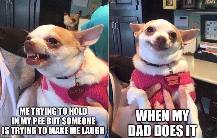 angry dog meme | ME TRYING TO HOLD IN MY PEE BUT SOMEONE IS TRYING TO MAKE ME LAUGH; WHEN MY DAD DOES IT | image tagged in angry dog meme | made w/ Imgflip meme maker