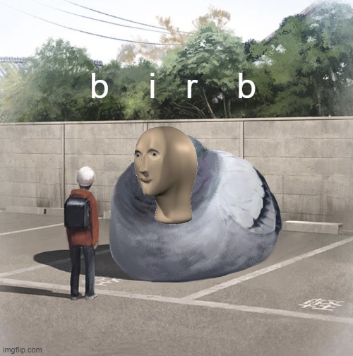 Birb | b    i   r    b | image tagged in beeg birb,meme man,birb,my talent is identifying birds | made w/ Imgflip meme maker
