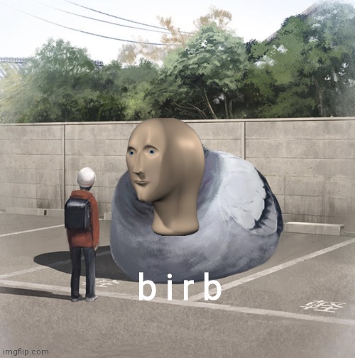 Beeg Birb | b i r b | image tagged in beeg birb | made w/ Imgflip meme maker