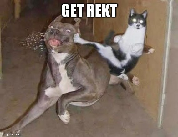 GET REKT | GET REKT | image tagged in get rekt | made w/ Imgflip meme maker