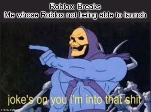 My Roblox is broken, and sorry for being offline for a long time on Imgflip. | Roblox: Breaks
Me whose Roblox not being able to launch | image tagged in jokes on you im into that shit,roblox | made w/ Imgflip meme maker