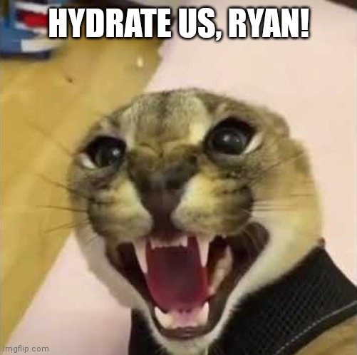 Angry Floppa | HYDRATE US, RYAN! | image tagged in angry floppa | made w/ Imgflip meme maker