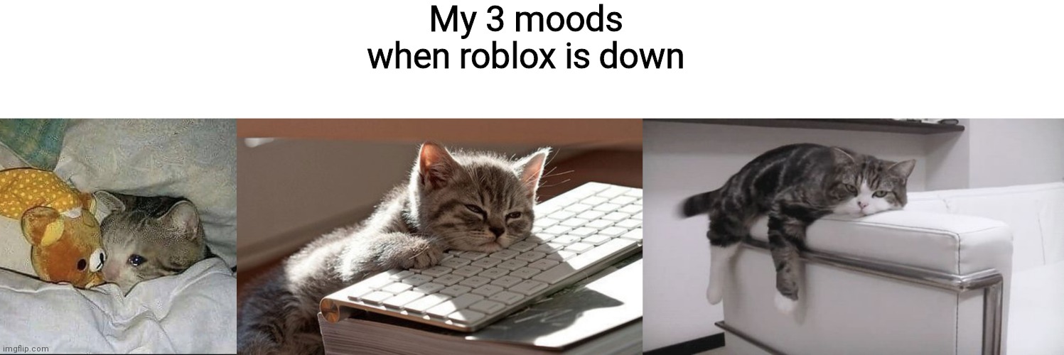 I am already sad, bored and tired :( |  My 3 moods when roblox is down | image tagged in crying cat in bed,sleeping cat,bored cat | made w/ Imgflip meme maker