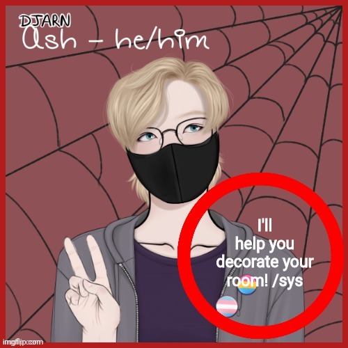 Ash | I'll help you decorate your room! /sys | image tagged in ash | made w/ Imgflip meme maker