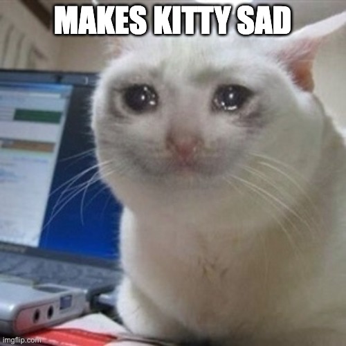Crying cat | MAKES KITTY SAD | image tagged in crying cat | made w/ Imgflip meme maker