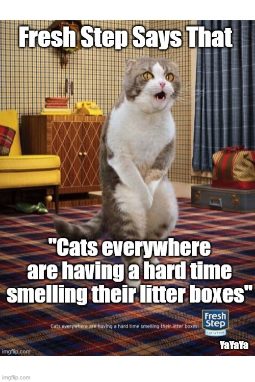 Welp.  Guess I'll Just Change The Litter Box Less Often | image tagged in marketing,yayaya | made w/ Imgflip meme maker