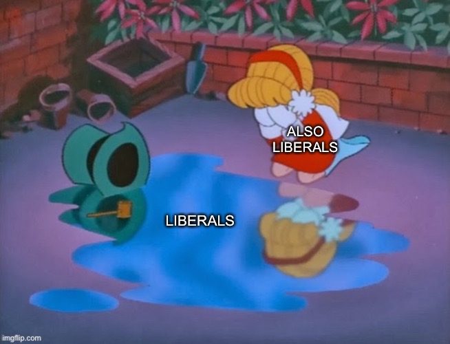 ALSO LIBERALS; LIBERALS | image tagged in memes,funny,facts,true story bro,new normal,liberal logic | made w/ Imgflip meme maker
