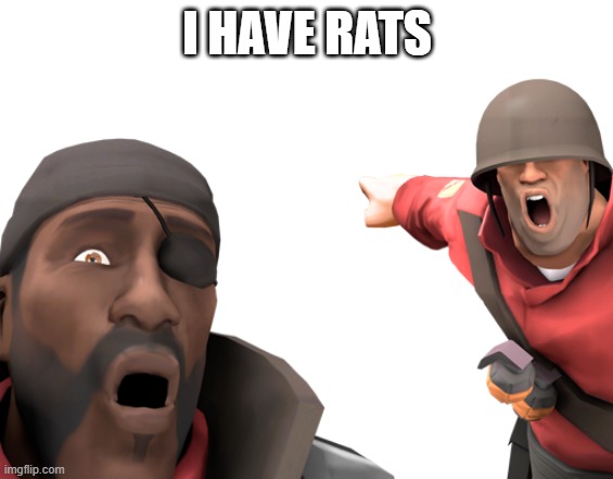 omg look over there | I HAVE RATS | image tagged in omg look over there | made w/ Imgflip meme maker