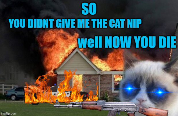 well give cats cat nip or this will  happen | YOU DIDNT GIVE ME THE CAT NIP; SO; well NOW YOU DIE | image tagged in grumpy cat | made w/ Imgflip meme maker