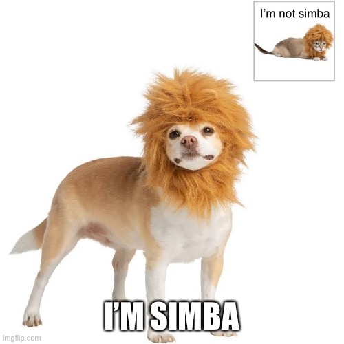 I’M SIMBA | made w/ Imgflip meme maker