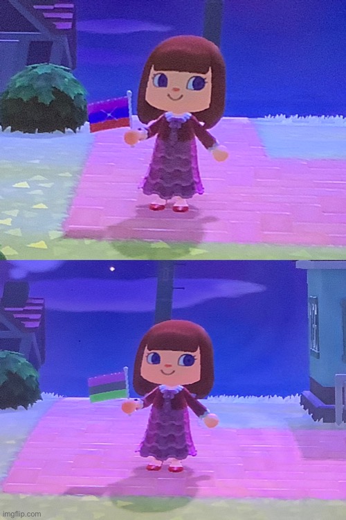 My Animal Crossing character with two of her/my flags! (I haven’t told you these hehe) | made w/ Imgflip meme maker