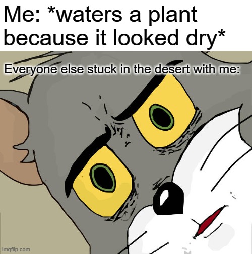 bruh | Me: *waters a plant because it looked dry*; Everyone else stuck in the desert with me: | image tagged in memes,unsettled tom | made w/ Imgflip meme maker