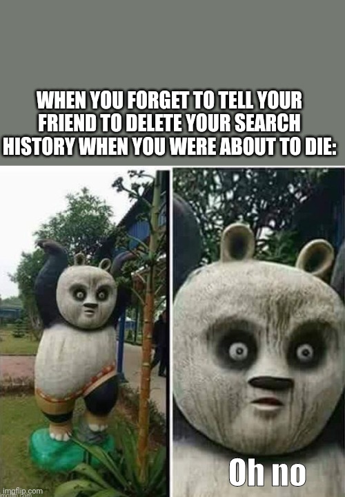 Kung fu OH NO | WHEN YOU FORGET TO TELL YOUR FRIEND TO DELETE YOUR SEARCH HISTORY WHEN YOU WERE ABOUT TO DIE:; Oh no | image tagged in kung fu oh no | made w/ Imgflip meme maker