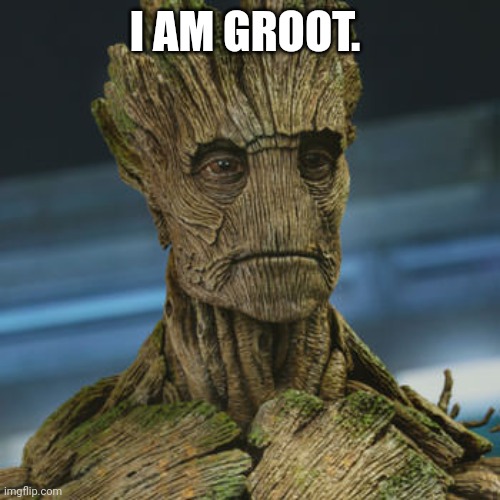 I am Groot | I AM GROOT. | image tagged in i am groot | made w/ Imgflip meme maker