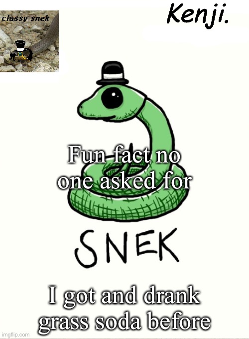 It tasted good | Fun fact no one asked for; I got and drank grass soda before | image tagged in snek | made w/ Imgflip meme maker