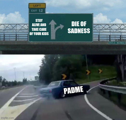 Of course... | STAY ALIVE AND TAKE CARE OF YOUR KIDS; DIE OF SADNESS; PADME | image tagged in memes,left exit 12 off ramp,star wars,starwars | made w/ Imgflip meme maker