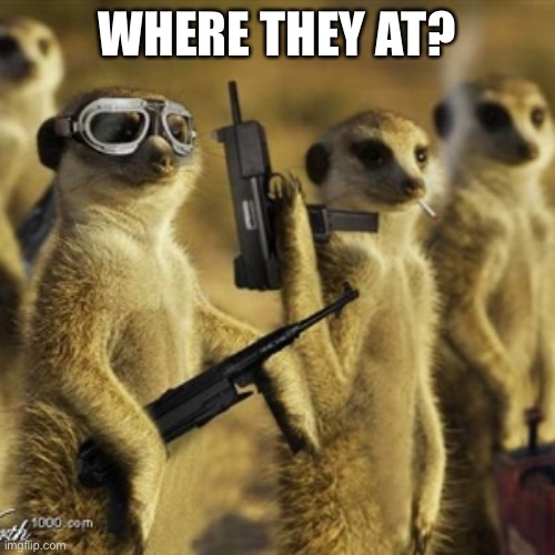 no joke | WHERE THEY AT? | image tagged in salsa,grande | made w/ Imgflip meme maker
