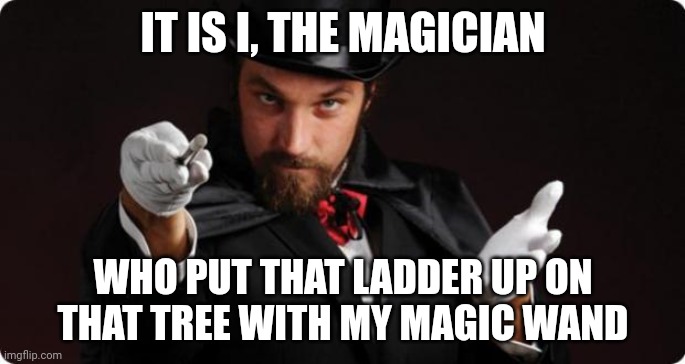 Ladder | IT IS I, THE MAGICIAN; WHO PUT THAT LADDER UP ON THAT TREE WITH MY MAGIC WAND | image tagged in household magician,comment section,comments,memes,ladder,ladders | made w/ Imgflip meme maker