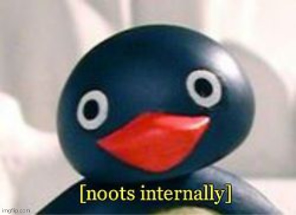 Pingu Nooting internally | image tagged in pingu nooting internally | made w/ Imgflip meme maker