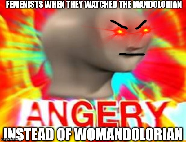 cringy meme i made | FEMENISTS WHEN THEY WATCHED THE MANDOLORIAN; INSTEAD OF WOMANDOLORIAN | image tagged in surreal angery | made w/ Imgflip meme maker