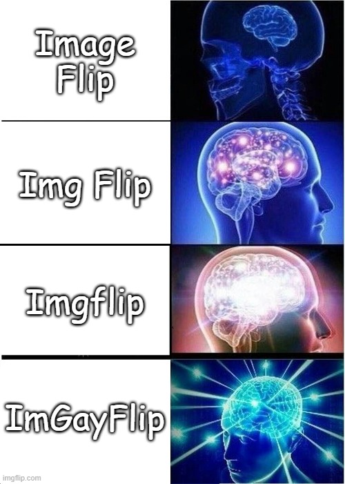 Expanding Brain Meme | Image Flip; Img Flip; Imgflip; ImGayFlip | image tagged in memes,expanding brain | made w/ Imgflip meme maker