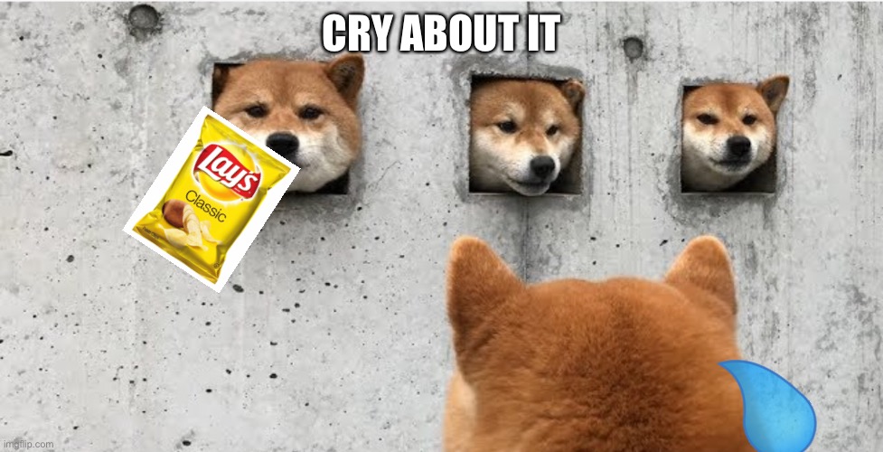 The doge council | CRY ABOUT IT | image tagged in the doge council | made w/ Imgflip meme maker