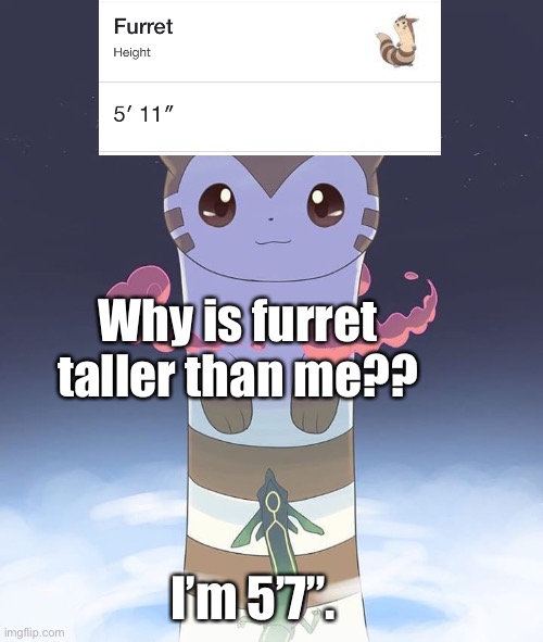 Whyyyy | Why is furret taller than me?? I’m 5’7”. | image tagged in giant furret,short,the scroll of truth | made w/ Imgflip meme maker