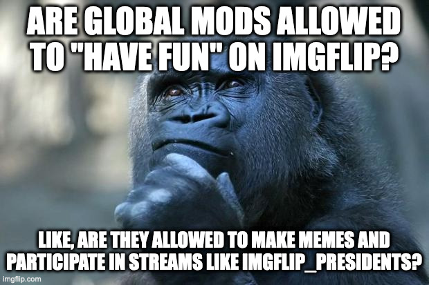 A question I finally asked. | ARE GLOBAL MODS ALLOWED TO ''HAVE FUN'' ON IMGFLIP? LIKE, ARE THEY ALLOWED TO MAKE MEMES AND PARTICIPATE IN STREAMS LIKE IMGFLIP_PRESIDENTS? | image tagged in deep thoughts | made w/ Imgflip meme maker