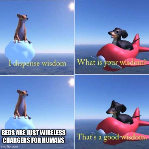 Wisdom Dog | BEDS ARE JUST WIRELESS CHARGERS FOR HUMANS | image tagged in wisdom dog | made w/ Imgflip meme maker