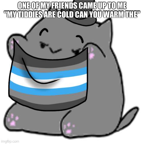 . | ONE OF MY FRIENDS CAME UP TO ME "MY TIDDIES ARE COLD CAN YOU WARM THE'' | image tagged in demi cat | made w/ Imgflip meme maker