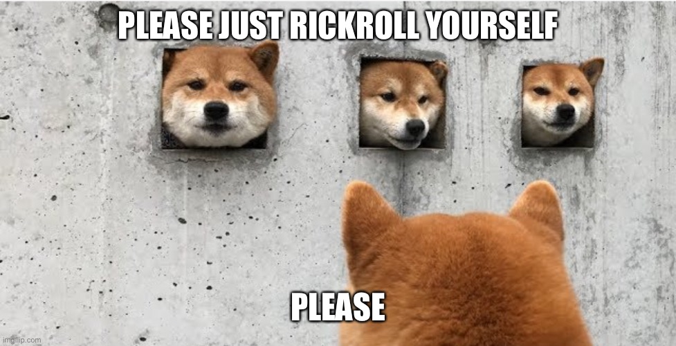 The doge council | PLEASE JUST RICKROLL YOURSELF; PLEASE | image tagged in the doge council | made w/ Imgflip meme maker