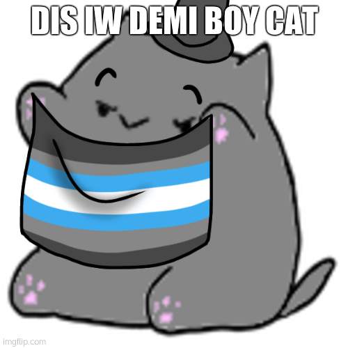 demi cat | DIS IW DEMI BOY CAT | image tagged in demi cat | made w/ Imgflip meme maker