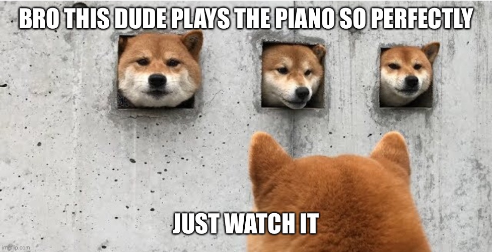 The doge council | BRO THIS DUDE PLAYS THE PIANO SO PERFECTLY; JUST WATCH IT | image tagged in the doge council | made w/ Imgflip meme maker