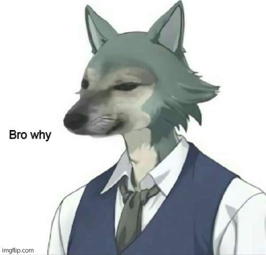 bro why | image tagged in bro why,furry | made w/ Imgflip meme maker