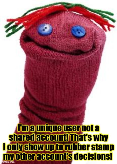 Incognito's Congressional appointments | I'm a unique user not a shared account! That's why I only show up to rubber stamp my other account's decisions! | image tagged in sock puppet,they are all,unique users,no alts or shared accounts,i swear,lol | made w/ Imgflip meme maker