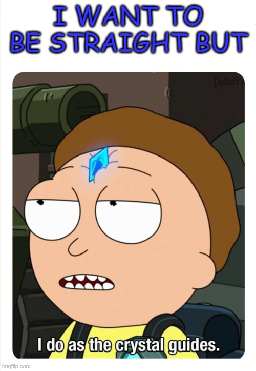 I do as the crystal guides | I WANT TO BE STRAIGHT BUT | image tagged in i do as the crystal guides | made w/ Imgflip meme maker