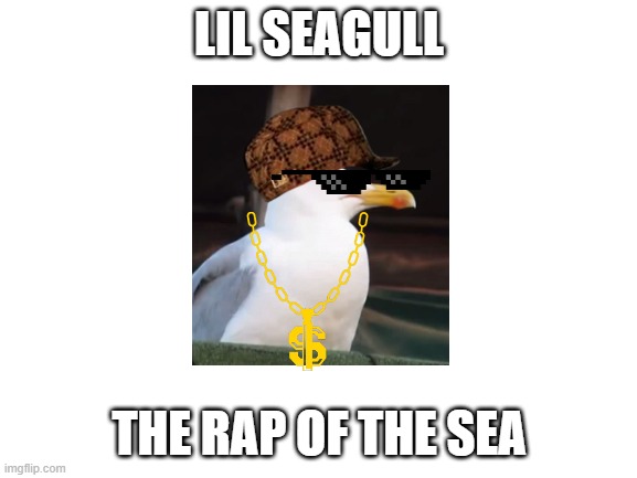 LIL SEAGULL - THE RAP OF THE SEA cd | LIL SEAGULL; THE RAP OF THE SEA | image tagged in blank white template | made w/ Imgflip meme maker
