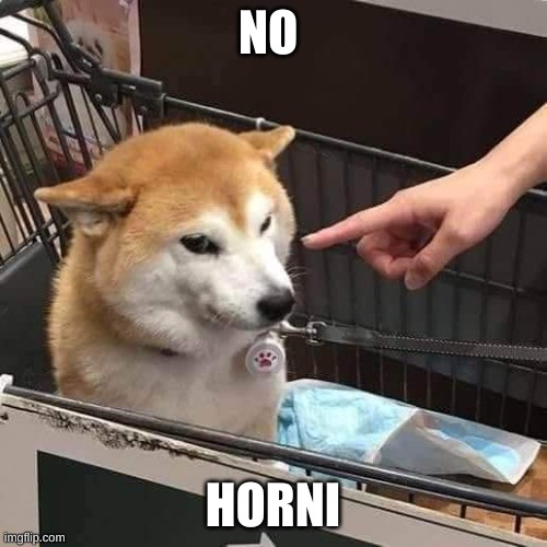 No horny | NO HORNI | image tagged in no horny | made w/ Imgflip meme maker
