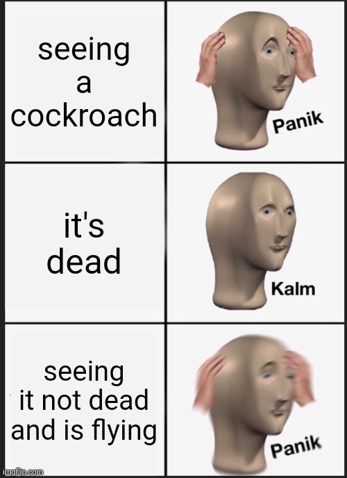 Panik Kalm Panik | seeing a cockroach; it's dead; seeing it not dead and is flying | image tagged in memes,panik kalm panik | made w/ Imgflip meme maker