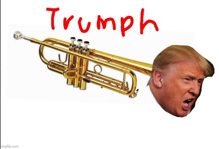 Donald TRUMPET ? | image tagged in donald trump | made w/ Imgflip meme maker