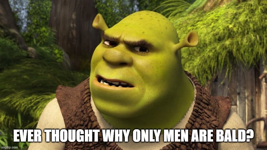 Think think | EVER THOUGHT WHY ONLY MEN ARE BALD? | image tagged in shrek | made w/ Imgflip meme maker