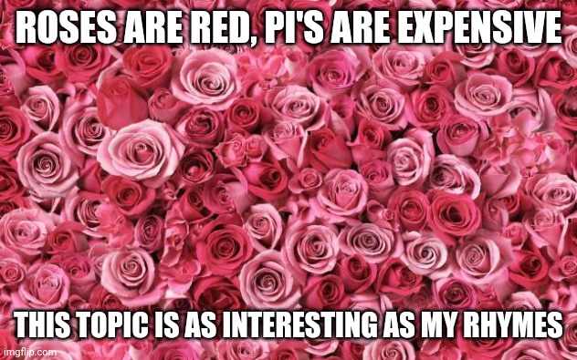 roses | ROSES ARE RED, PI'S ARE EXPENSIVE; THIS TOPIC IS AS INTERESTING AS MY RHYMES | image tagged in roses | made w/ Imgflip meme maker