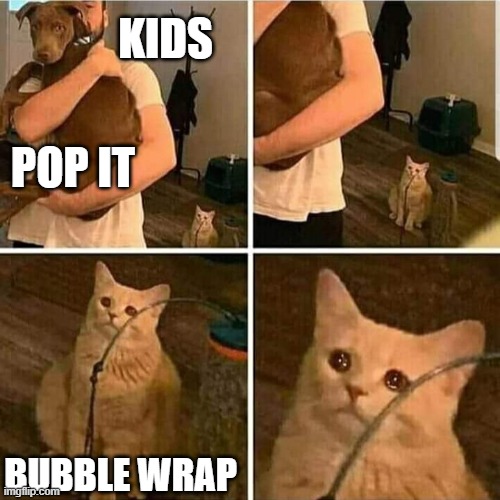 Sad Cat Holding Dog | KIDS; POP IT; BUBBLE WRAP | image tagged in sad cat holding dog,bubble wrap,toys,cat,cats,funny memes | made w/ Imgflip meme maker