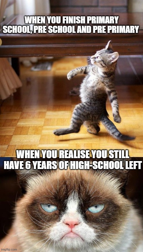 WHEN YOU FINISH PRIMARY SCHOOL, PRE SCHOOL AND PRE PRIMARY; WHEN YOU REALISE YOU STILL HAVE 6 YEARS OF HIGH-SCHOOL LEFT | image tagged in cat walking like a boss,grumpy cat not amused,school,high school,cats,grumpy cat | made w/ Imgflip meme maker