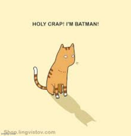 A Cat's Way Of Thinking | image tagged in memes,comics,cats,shadow,holy crap,batman | made w/ Imgflip meme maker
