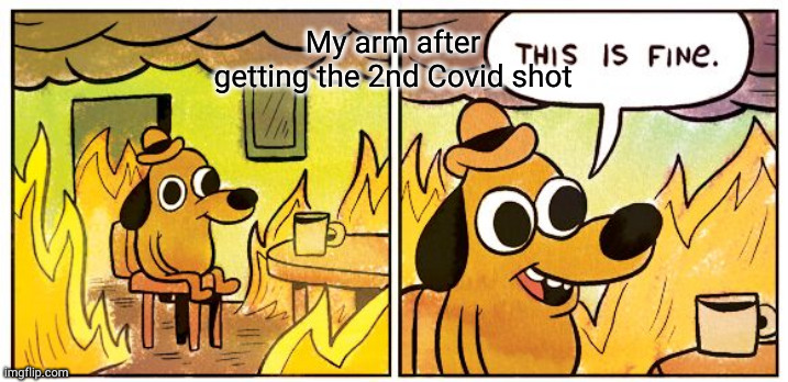 Me rn | My arm after getting the 2nd Covid shot | image tagged in memes,this is fine | made w/ Imgflip meme maker