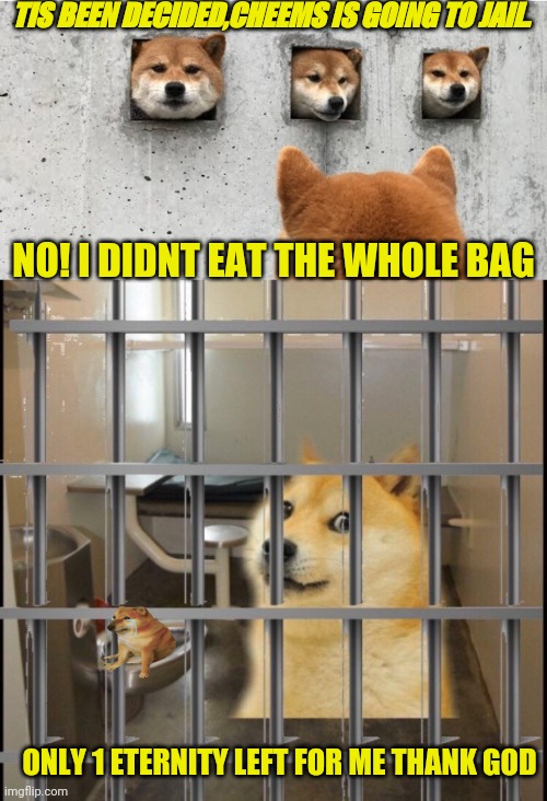TIS BEEN DECIDED,CHEEMS IS GOING TO JAIL. NO! I DIDNT EAT THE WHOLE BAG; ONLY 1 ETERNITY LEFT FOR ME THANK GOD | image tagged in the doge council,doge in jail | made w/ Imgflip meme maker