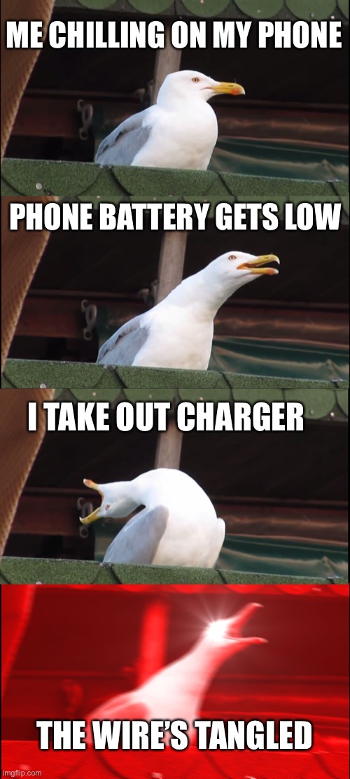 charger issues | ME CHILLING ON MY PHONE; PHONE BATTERY GETS LOW; I TAKE OUT CHARGER; THE WIRE’S TANGLED | image tagged in memes,inhaling seagull,funny,charger,relatable,imagine still reading the tags | made w/ Imgflip meme maker